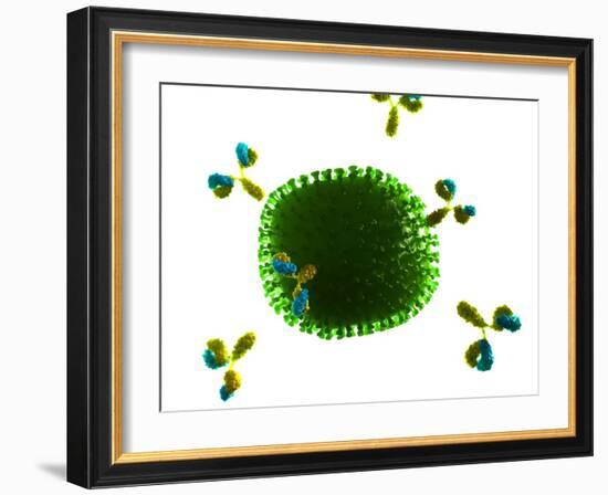 Antibodies Attacking Flu Virus, Artwork-SCIEPRO-Framed Photographic Print