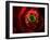 Antibodies Attacking Flu Virus, Artwork-SCIEPRO-Framed Photographic Print