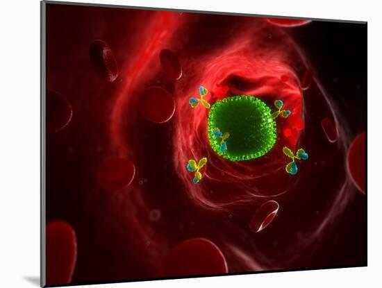 Antibodies Attacking Flu Virus, Artwork-SCIEPRO-Mounted Photographic Print