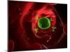 Antibodies Attacking Flu Virus, Artwork-SCIEPRO-Mounted Photographic Print