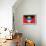 Antigua And Barbuda Flag Design with Wood Patterning - Flags of the World Series-Philippe Hugonnard-Framed Stretched Canvas displayed on a wall