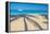 Antigua, Jolly Bay Beach, Palm Trees Casting Shadows-Alan Copson-Framed Premier Image Canvas
