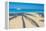 Antigua, Jolly Bay Beach, Palm Trees Casting Shadows-Alan Copson-Framed Premier Image Canvas