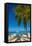 Antigua, Jolly Bay Beach, Palm Trees Casting Shadows-Alan Copson-Framed Premier Image Canvas