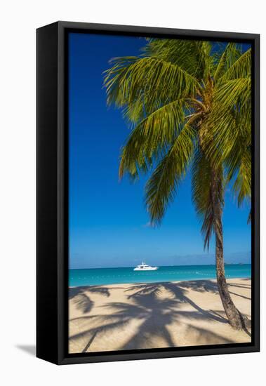 Antigua, Jolly Bay Beach, Palm Trees Casting Shadows-Alan Copson-Framed Premier Image Canvas