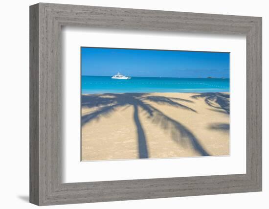 Antigua, Jolly Bay Beach, Palm Trees Casting Shadows-Alan Copson-Framed Photographic Print