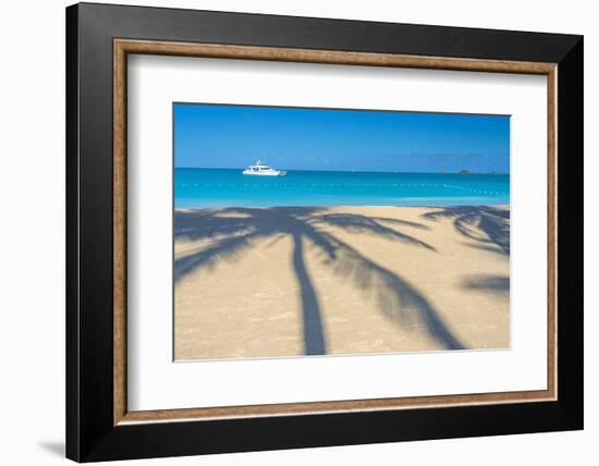 Antigua, Jolly Bay Beach, Palm Trees Casting Shadows-Alan Copson-Framed Photographic Print