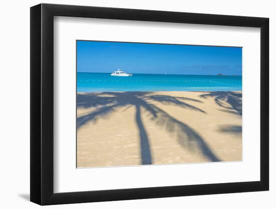 Antigua, Jolly Bay Beach, Palm Trees Casting Shadows-Alan Copson-Framed Photographic Print