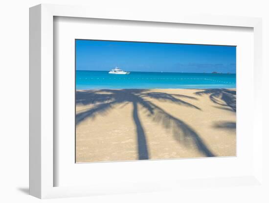 Antigua, Jolly Bay Beach, Palm Trees Casting Shadows-Alan Copson-Framed Photographic Print