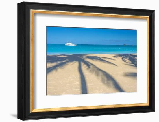 Antigua, Jolly Bay Beach, Palm Trees Casting Shadows-Alan Copson-Framed Photographic Print