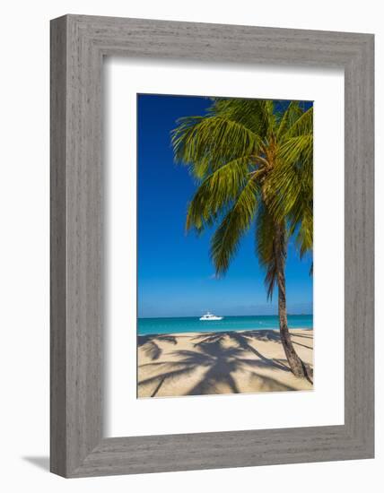 Antigua, Jolly Bay Beach, Palm Trees Casting Shadows-Alan Copson-Framed Photographic Print