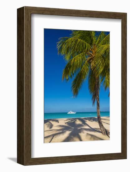 Antigua, Jolly Bay Beach, Palm Trees Casting Shadows-Alan Copson-Framed Photographic Print