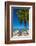 Antigua, Jolly Bay Beach, Palm Trees Casting Shadows-Alan Copson-Framed Photographic Print