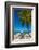 Antigua, Jolly Bay Beach, Palm Trees Casting Shadows-Alan Copson-Framed Photographic Print