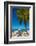 Antigua, Jolly Bay Beach, Palm Trees Casting Shadows-Alan Copson-Framed Photographic Print