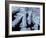 Antihistamine Drug Crystals, SEM-Steve Gschmeissner-Framed Photographic Print