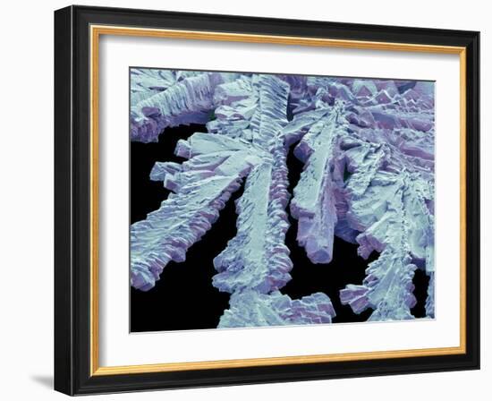 Antihistamine Drug Crystals, SEM-Steve Gschmeissner-Framed Photographic Print