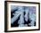 Antihistamine Drug Crystals, SEM-Steve Gschmeissner-Framed Photographic Print