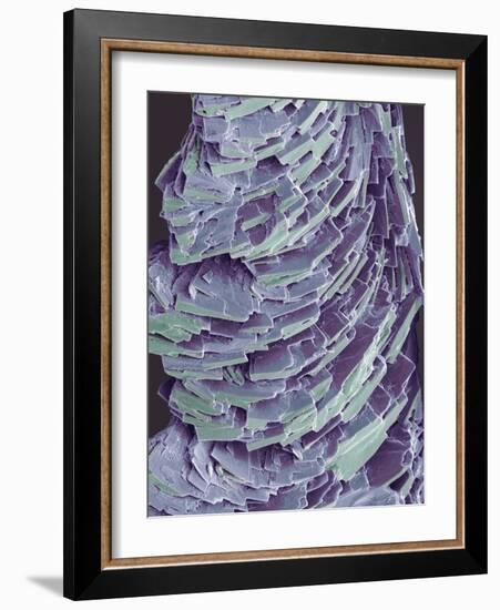 Antihistamine Drug Crystals, SEM-Steve Gschmeissner-Framed Photographic Print