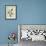 Antillean Crested Hummingbird, Golden-Throated Hummingbird and Green-Throated Carib Hummingbird-Georges-Louis Buffon-Framed Giclee Print displayed on a wall
