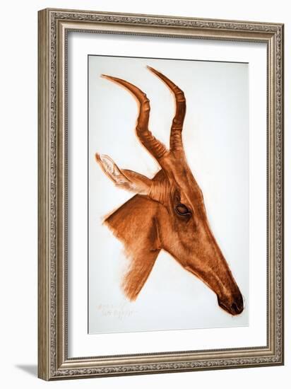 Antilope Jackson (Am Dafok), from Dessins Et Peintures D'afrique, Executes Au Cours De L'expedition-Alexander Yakovlev-Framed Giclee Print