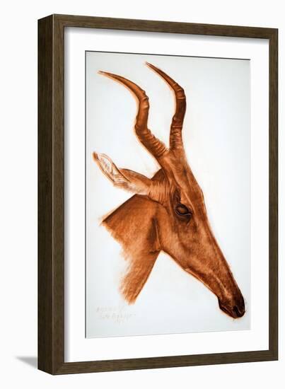 Antilope Jackson (Am Dafok), from Dessins Et Peintures D'afrique, Executes Au Cours De L'expedition-Alexander Yakovlev-Framed Giclee Print