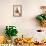 Antilope Jackson (Am Dafok), from Dessins Et Peintures D'afrique, Executes Au Cours De L'expedition-Alexander Yakovlev-Framed Premier Image Canvas displayed on a wall