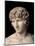 Antinous Farnese, 2nd Century, Marble, All Rounded-null-Mounted Photographic Print
