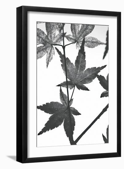 Antipode-Ella Lancaster-Framed Giclee Print