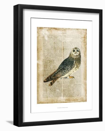 Antiquarian Birds I-null-Framed Art Print