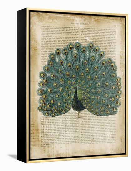 Antiquarian Birds V-null-Framed Stretched Canvas