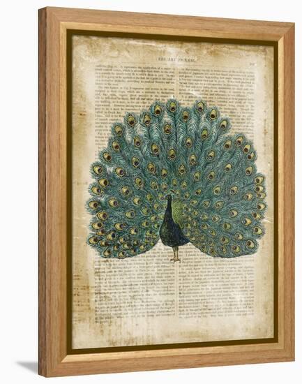 Antiquarian Birds V-null-Framed Stretched Canvas