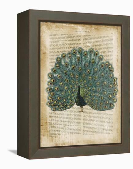 Antiquarian Birds V-null-Framed Stretched Canvas