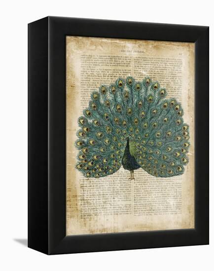 Antiquarian Birds V-null-Framed Stretched Canvas