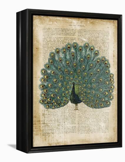 Antiquarian Birds V-null-Framed Stretched Canvas