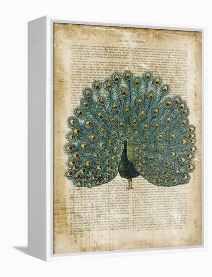 Antiquarian Birds V-null-Framed Stretched Canvas