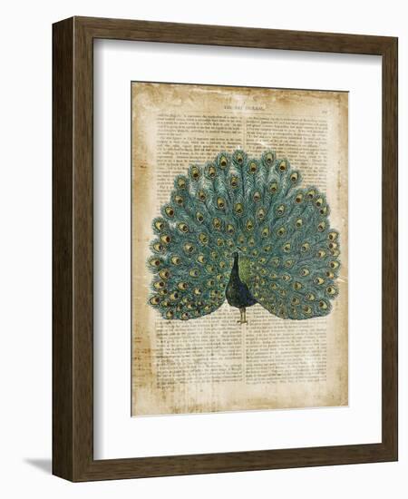 Antiquarian Birds V-null-Framed Art Print