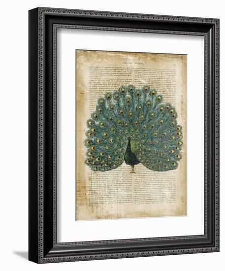 Antiquarian Birds V--Framed Art Print