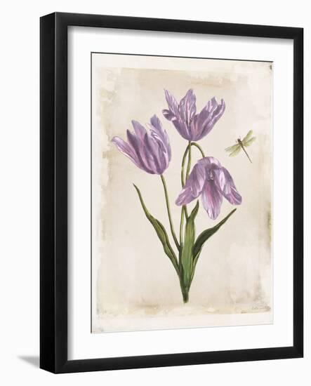 Antiquarian Blooms III Purple-Katie Pertiet-Framed Art Print