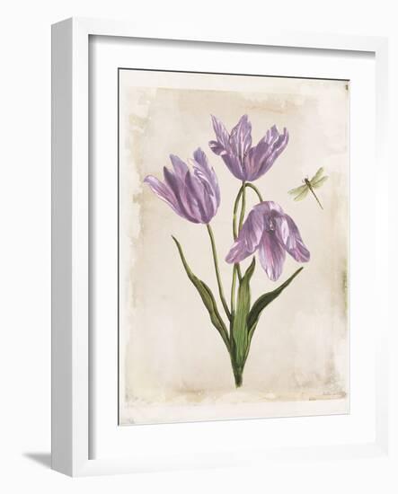 Antiquarian Blooms III Purple-Katie Pertiet-Framed Art Print