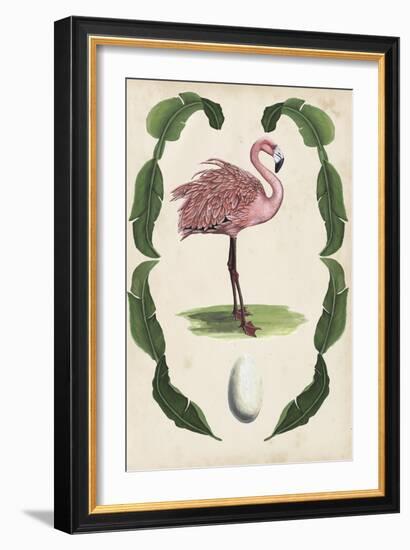 Antiquarian Menagerie - Flamingo I-Naomi McCavitt-Framed Art Print