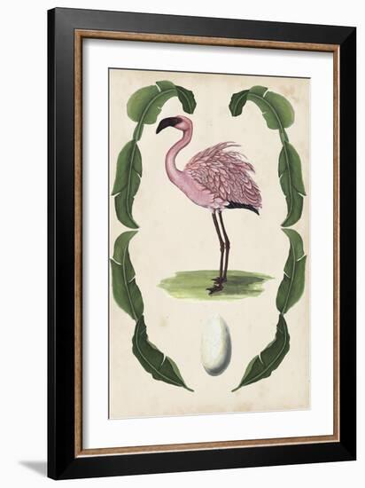 Antiquarian Menagerie - Flamingo II-Naomi McCavitt-Framed Art Print