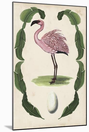 Antiquarian Menagerie - Flamingo II-Naomi McCavitt-Mounted Art Print