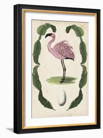 Antiquarian Menagerie - Flamingo II-Naomi McCavitt-Framed Art Print