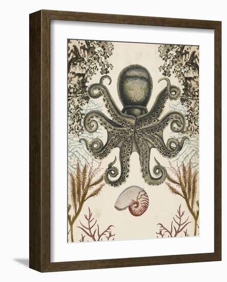 Antiquarian Menagerie - Octopus-Naomi McCavitt-Framed Art Print