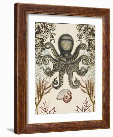 Antiquarian Menagerie - Octopus-Naomi McCavitt-Framed Art Print