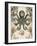 Antiquarian Menagerie - Octopus-Naomi McCavitt-Framed Art Print