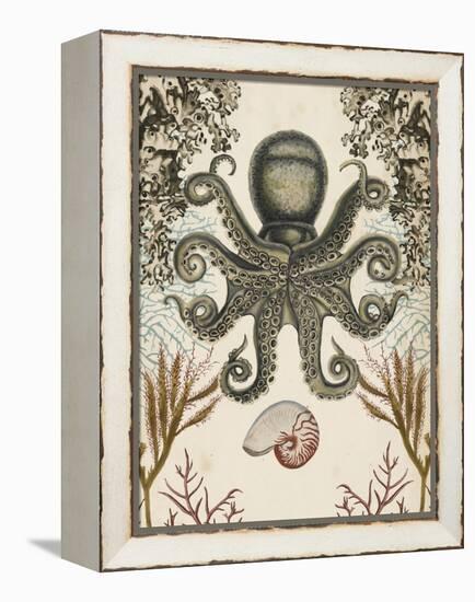 Antiquarian Menagerie - Octopus-Naomi McCavitt-Framed Stretched Canvas