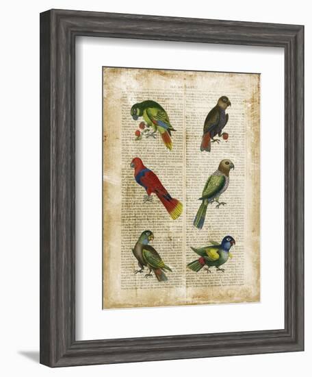 Antiquarian Parrots I-Vision Studio-Framed Art Print