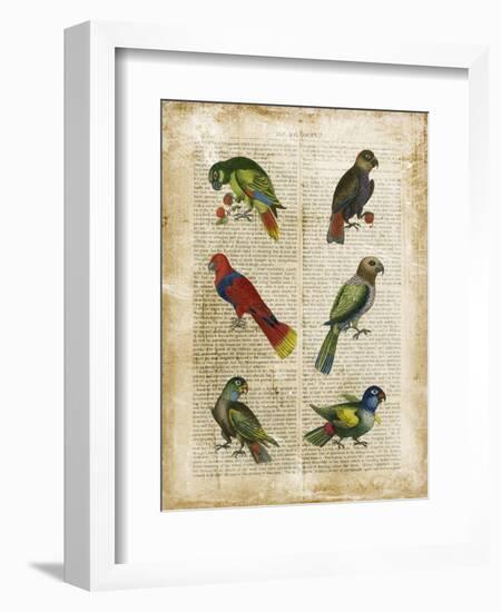 Antiquarian Parrots I-Vision Studio-Framed Art Print